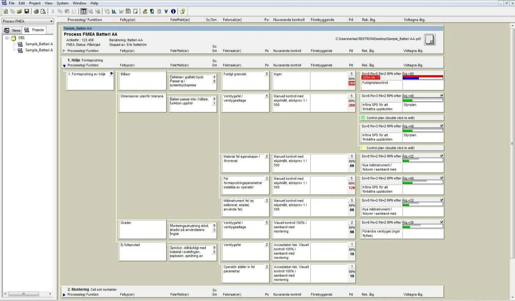 Projektfönstret: hela projektet i standard FMEA-struktur, med funktioner för att dölja, visa, kopiera och flytta fält.