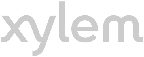 xylem